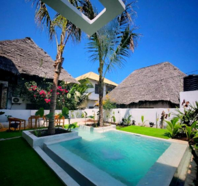Luxury Villa Steps to the Beach with Private Pool in Paje Zanzibar